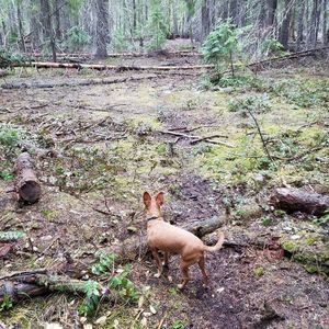 Meet your Posher, Danyel